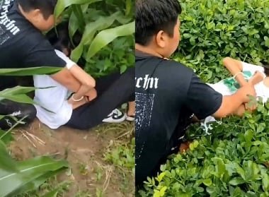 Hiếp dâm cô gái đơn thân ngoài cánh đồng